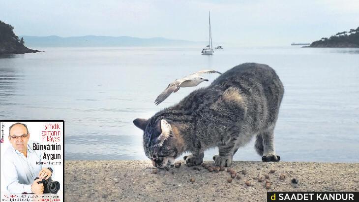 Şimdiki zamanın hikayesi